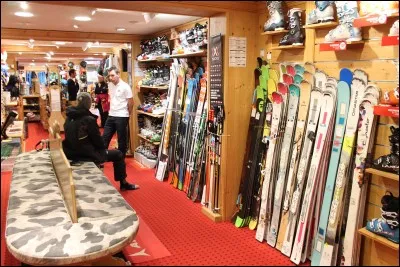 Quelle(s) marque(s) de skis existe-t-il ?