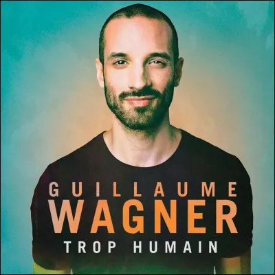 C'est l'affiche du .... spectacle de Guillaume Wagner.