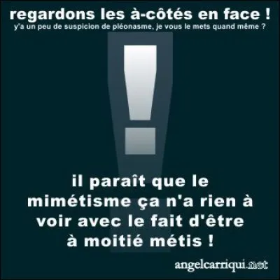 Il y a un pléonasme dans cette phrase : J'oppose fermement mon veto à vos allégations fallacieuses (je cause bien hein) !