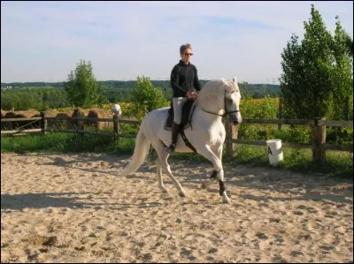 Comment partir au galop ?