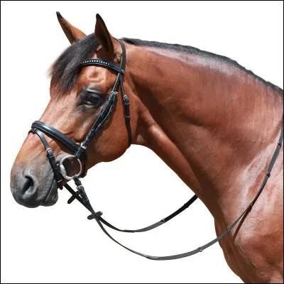 Que doit-on défaire pour enlever le filet ?