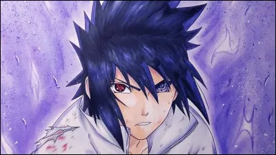 Qui n'est pas amoureuse de Sasuke ?