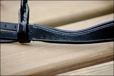 Quelle marque d'enrênement n'existe pas ?