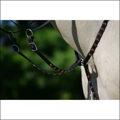 À quoi sert la martingale ?