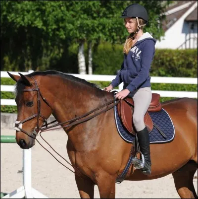 À quoi servent les rennes allemandes ?