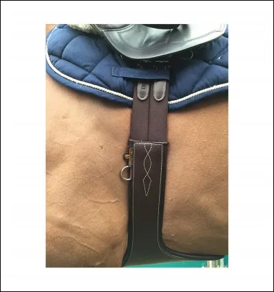 Comment s'appelle la sangle la plus utilisée lors des concours de C.S.O ?