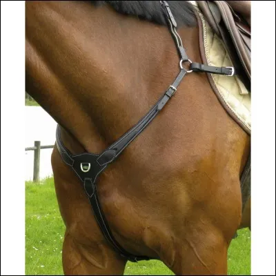 À quoi sert le collier de chasse ?