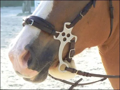 Quel mors n'a pas d'embouchure ?