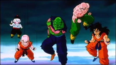 Quel est ce dessin animé ?