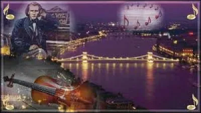 Il s'agit du titre d'une célèbre valse, composée en 1866 par Johann Strauss II :