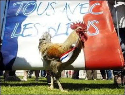 Lesquels de ces Bleus a-t-on successivement surnommés "les Barjots", "les Costauds" et "les Experts" ?