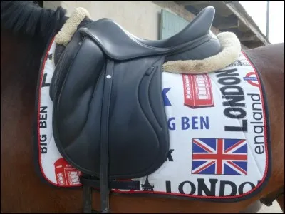 Quelle est la chose la plus importante à vérifier sur le tapis lorsque le cheval est sellé ?