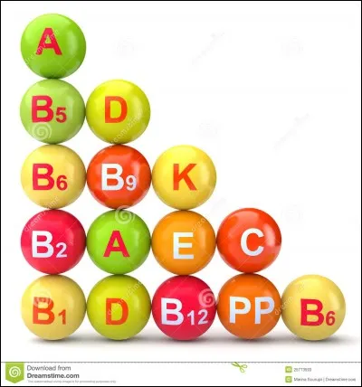 Ils/elles servent de "booster" pour notre corps. C'est le groupe des...