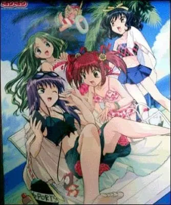 O sont les mew mew ici sur l'image ?