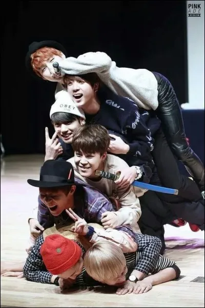 Quels sont les membres qu'on surnomme 95line ?