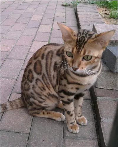 Et moi, qui suis-je ?