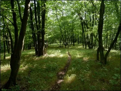 Où vivent les Harpies en ce moment ?