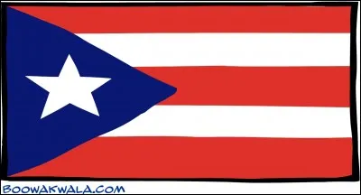 De quel pays est ce drapeau ?