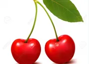 Quiz Les carnets de Cerise n1