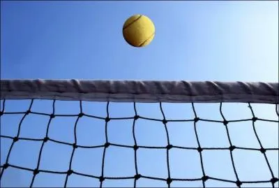 Quel joueur de tennis a, en 2009, quinze grands chelems  son actif ?