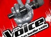 Quiz Connais-tu 'The Voice'' ?