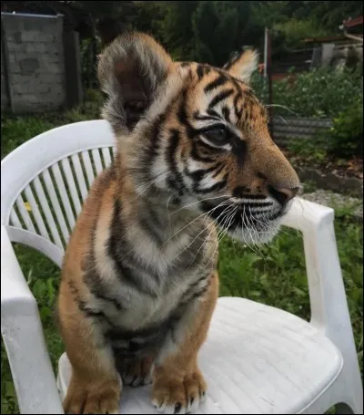 Je me nomme comment ?