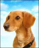 Quel est son secret ?