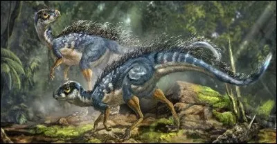 L'hétérodontosaure, son nom signifie...