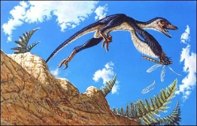 Le sinornithosaure, son nom signifie...