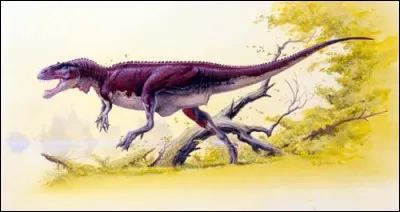 L'afrovenator, son nom signifie...