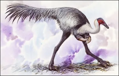 Mononykus, son nom signifie...