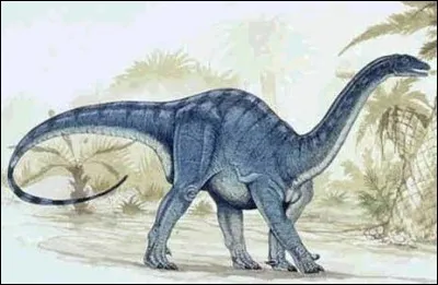 Retrouvez ces dinosaures qui portent des noms d'animaux actuels tel que le mussaure ; son nom signifie...