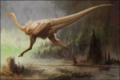 Le gallimimus, son nom signifie...