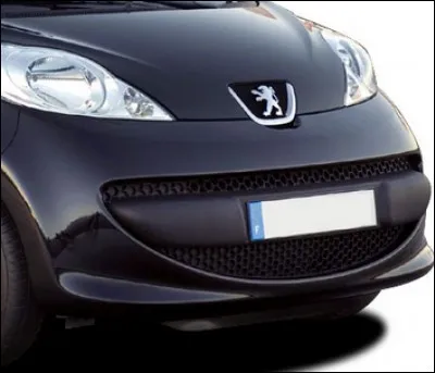 De quelle voiture provient cet élément ?