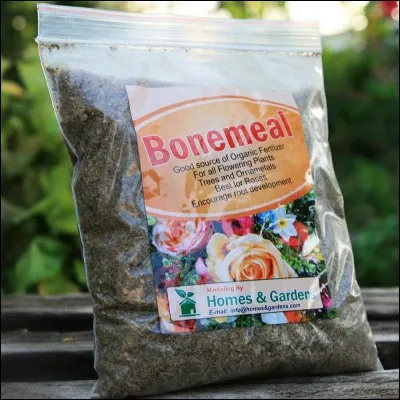 Y a-t-il des blocs Bonemeals ?