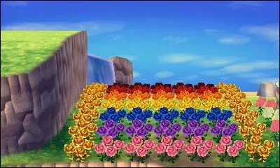 Comment obtient-on la Rose dorée ?