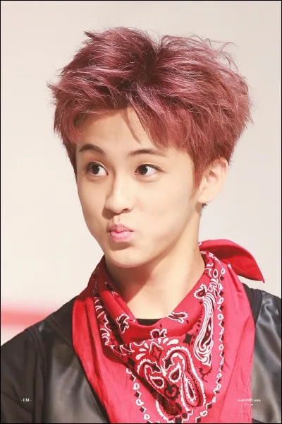 De quel groupe est-il membre ?