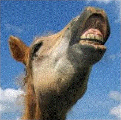 « Saoul comme une bourrique » trouve son origine dans le pèlerinage que le fameux orateur du club des Jacobins fit, sur des ânes, près de l'île des Peupliers chère à Jean-Jacques Rousseau. Des paysans, voulant fêter l'animal patriote (monture de cette figure emblématique de la révolution française) le gorgèrent de pain trempé dans le vin. Le braire de l'animal trahissait son état. Mais comment s'appelle donc ce personnage ?