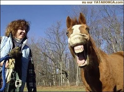 Quand on parle de « La pisse d'âne », on parle de « Jus de chaussette » pour désigner une boisson fade et insipide. De quelle boisson s'agit-il ?