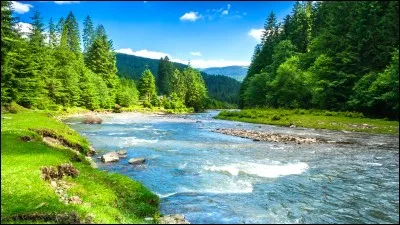 Métis est la déesse...