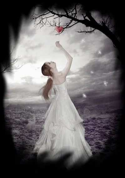 A qui sont les paroles "Elle était si jolie que je n'osais l'aimer" ?