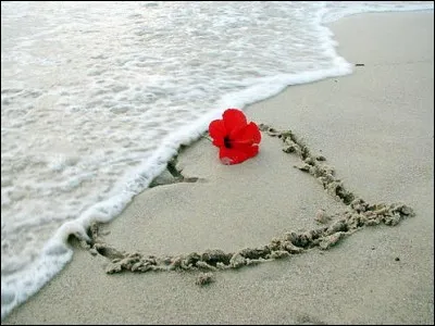 Pour Niagara où était l'amour ?