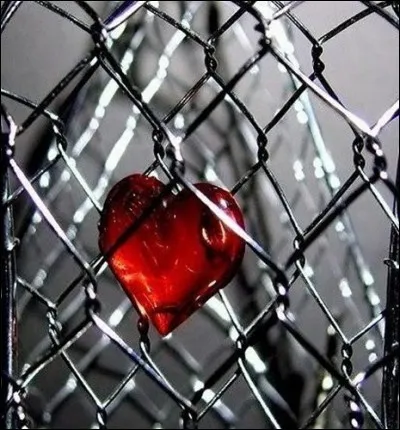 Qui chante "J'aime pas l'amour" ?