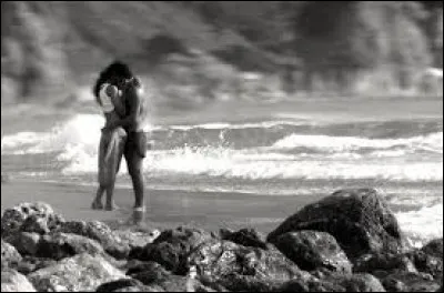 En 1991, Bryan Adams chante la magnifique chanson "Everything I Do I Do It For You" pour la bande originale d'un film. Lequel ?