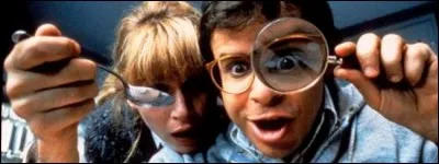 Cinéma - Quelle est la suite du film "Chérie, j'ai rétréci les gosses" ("Chérie, j'ai réduit les enfants" au Québec) ?