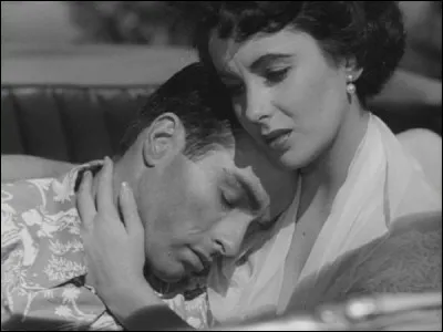 Qui joue le rôle de Brick l'alcoolique dont E.Taylor est amoureuse dans le film "Une chatte sur un toit brûlant" ?