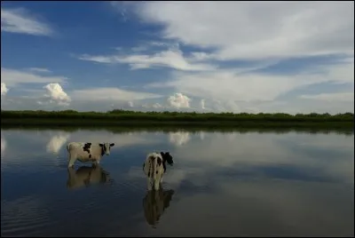 Fait l'Amour avec la Chilka.