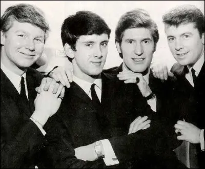 The Searchers : Combien y a-t-il de membres dans le groupe ?