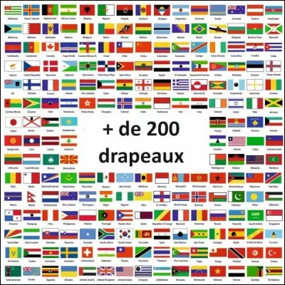 Ces groupes de musique sont tous...