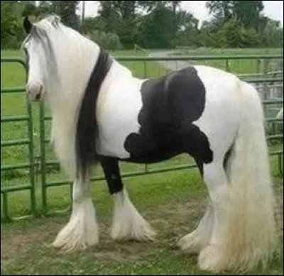 Quelle est cette robe ?